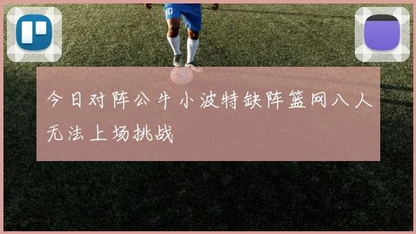 今日对阵公牛小波特缺阵篮网八人无法上场挑战