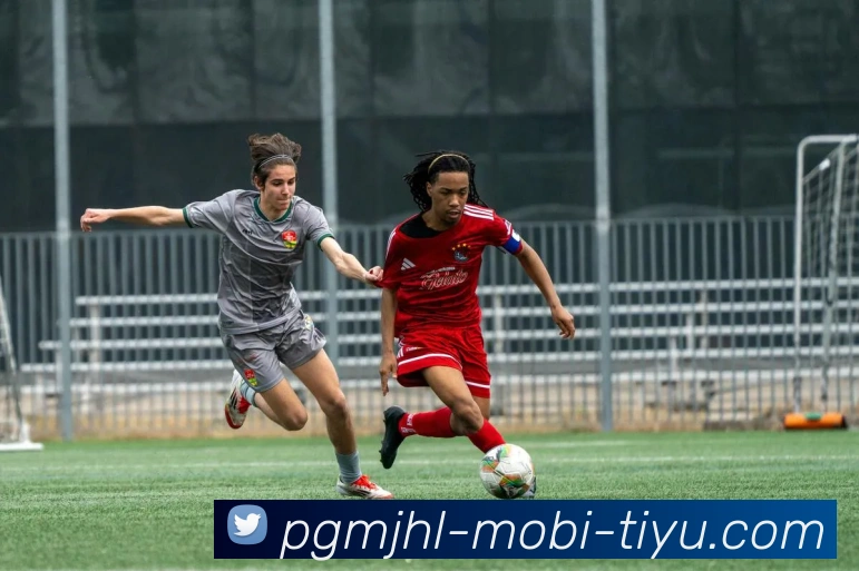 麻将胡了服务体系